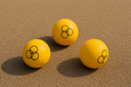 Lot de 3 balles Polybol®